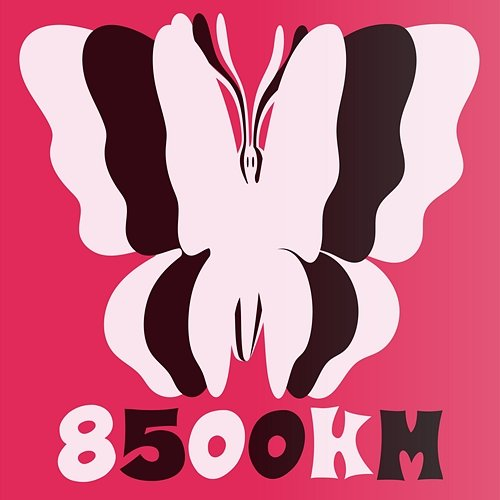 8500km Klawo, peko