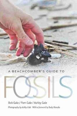 A Beachcomber's Guide to Fossils Gale Bob