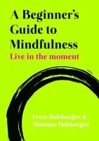 A Beginner's Guide to Mindfulness: Live in the Moment Bohlmeijer Ernst, Hulsbergen Monique