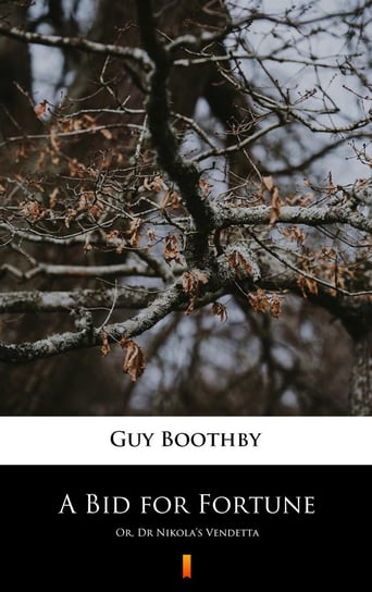 A Bid for Fortune Boothby Guy