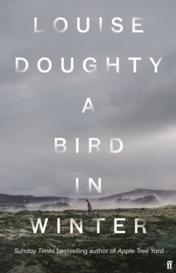 A Bird in Winter (Export Edition) Doughty Louise