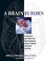 A Brain Is Born, A Upledger John E.