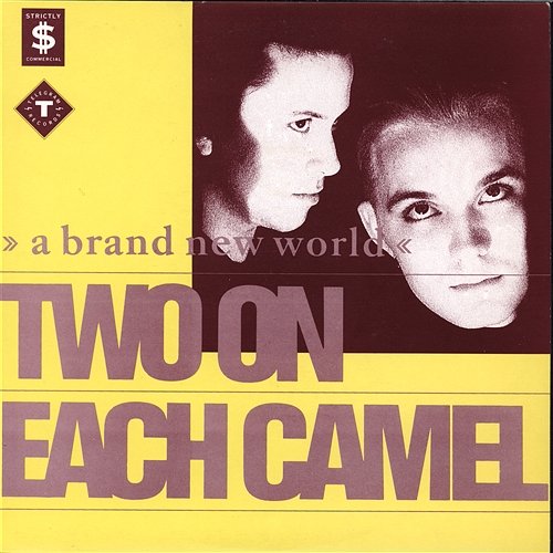 A Brand New World Two On Each Camel