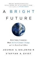 A Bright Future: How Some Countries Have Solved Climate Change and the Rest Can Follow Goldstein Joshua S., Qvist Staffan A.