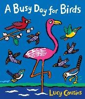 A Busy Day for Birds Cousins Lucy