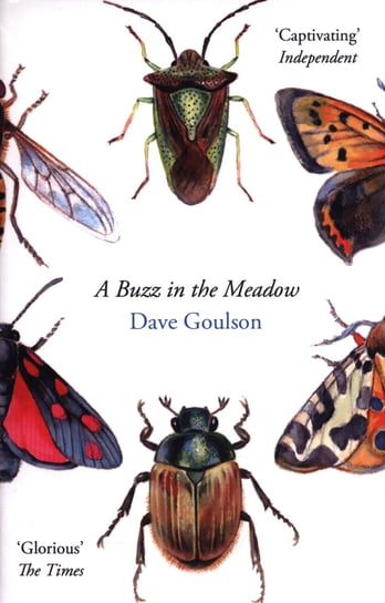 A Buzz in the Meadow Goulson Dave