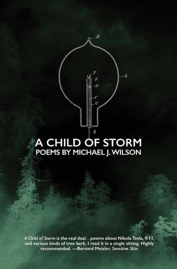 A Child of Storm Wilson Michael J.