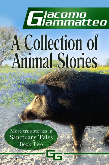 A Collection of Animal Stories Giacomo Giammatteo
