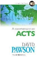 A Commentary on Acts Pawson David
