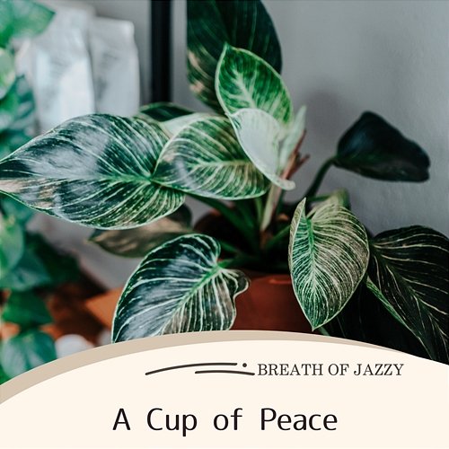 A Cup of Peace Breath of Jazzy