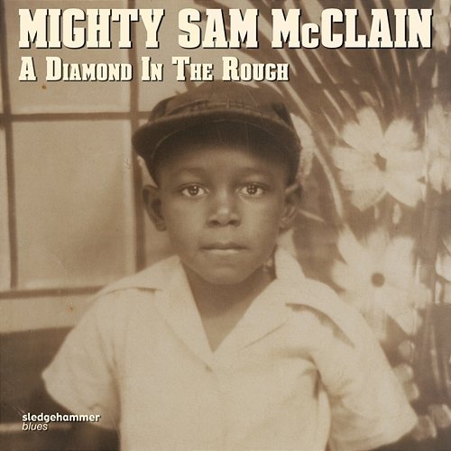 A Diamond in the Rough Mighty Sam McClain