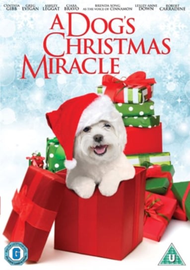 A Dog's Christmas Miracle (brak polskiej wersji językowej) Feifer Michael