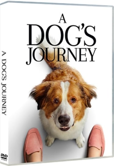 A Dog's Journey (brak polskiej wersji językowej) Mancuso Gail