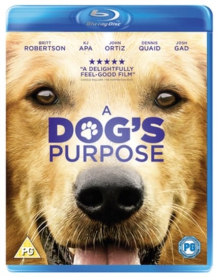 A Dog's Purpose (brak polskiej wersji językowej) Hallstrom Lasse