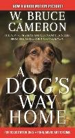 A Dog's Way Home. Movie Tie-In Cameron Bruce W.