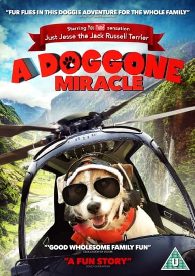 A Doggone Miracle (brak polskiej wersji językowej) Wynorski Jim