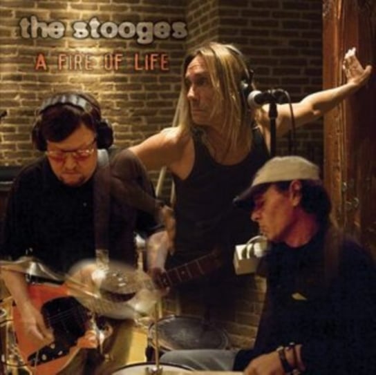 A Fire of Life The Stooges