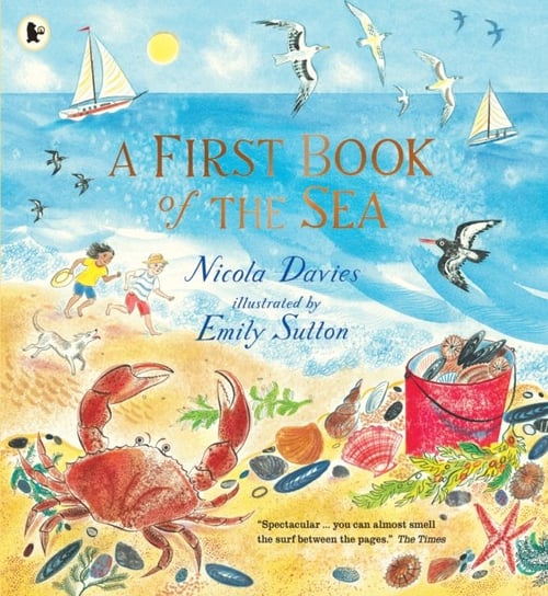 A First Book of the Sea Davies Nicola