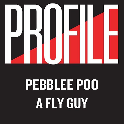 A Fly Guy Pebblee Poo
