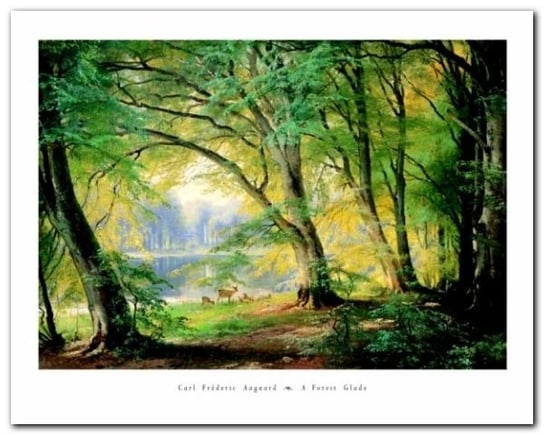 A Forest Glade plakat obraz 50x40cm Wizard+Genius