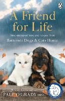 A Friend for Life Battersea Dogs&Cats Home