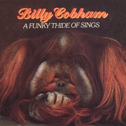 Thinking Of You Billy Cobham