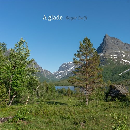 A glade Roger Swift