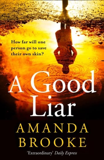 A Good Liar Brooke Amanda