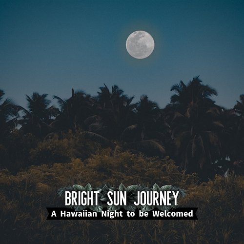 A Hawaiian Night to Be Welcomed Bright Sun Journey