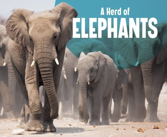 A Herd of Elephants Amy Kortuem