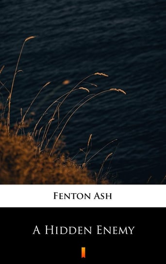 A Hidden Enemy Ash Fenton