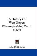 A History of West Gower, Glamorganshire, Part 1 (1877) Davies John David