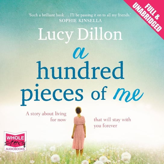 A Hundred Pieces of Me Dillon Lucy