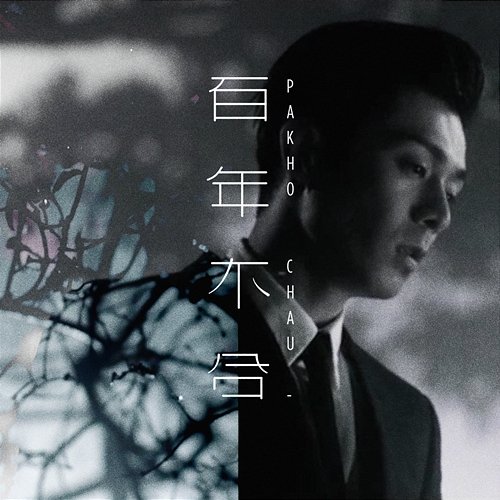 A Hundred Years Chau Pak Ho