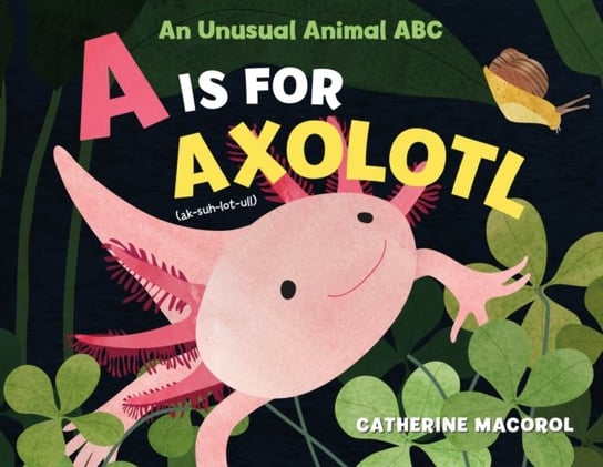 A Is for Axolotl: An Unusual Animal ABC Catherine Macorol