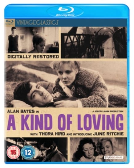 A Kind of Loving (brak polskiej wersji językowej) Schlesinger John