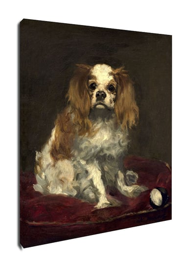 A King Charles Spaniel, Edouard Manet - obraz na płótnie 40x60 cm Galeria Plakatu