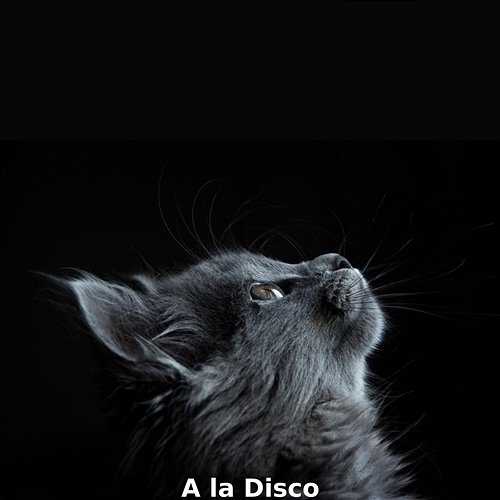 A La Disco B Vini & Jeffrey Osbourne