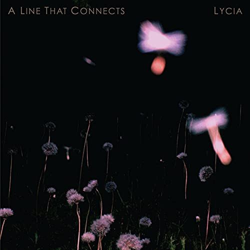 A Line That Connects Lycia