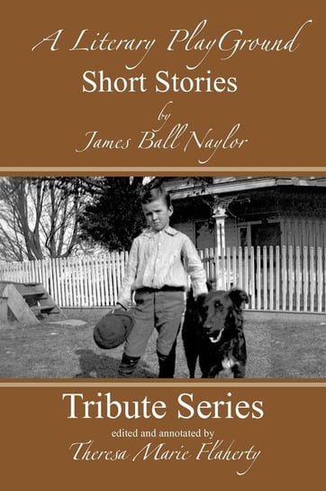 A Literary Playground - Short Stories Naylor James Ball