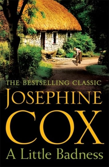 A Little Badness: An irresistible and wildly romantic saga Cox Josephine