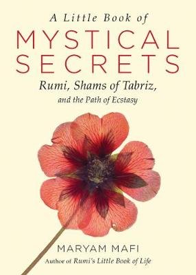 A Little Book of Mystical Secrets Mafi Maryam