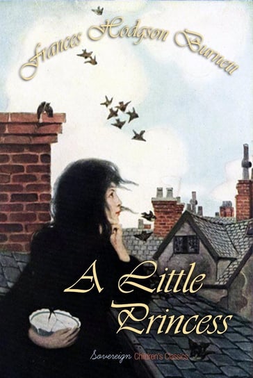 A Little Princess - ebook epub Hodgson Burnett Frances