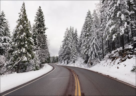 A living snow globe scene and winter wonderland, created by a sudden mountain blizzard along California Highway 36., Carol Highsmith - plakat 100x70 cm Galeria Plakatu