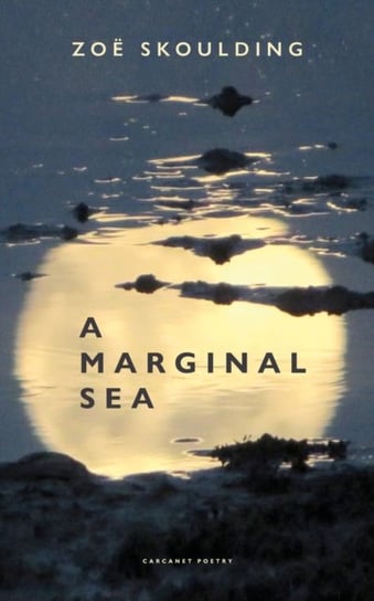 A Marginal Sea Zoe Skoulding