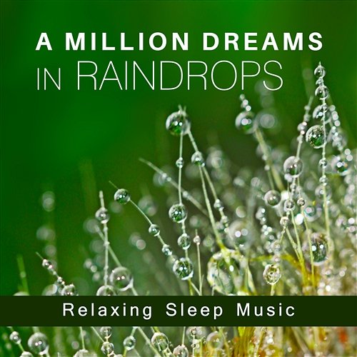 A Million Dreams in Raindrops: Relaxing Sleep Music, Cure for Insomnia, Soothing Sounds of Nature for Deep Meditation, Healing Rain for Rest Deep Sleep Music Maestro
