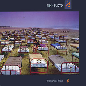 A Momentary Lapse Of Reason (Remastered), płyta winylowa Pink Floyd