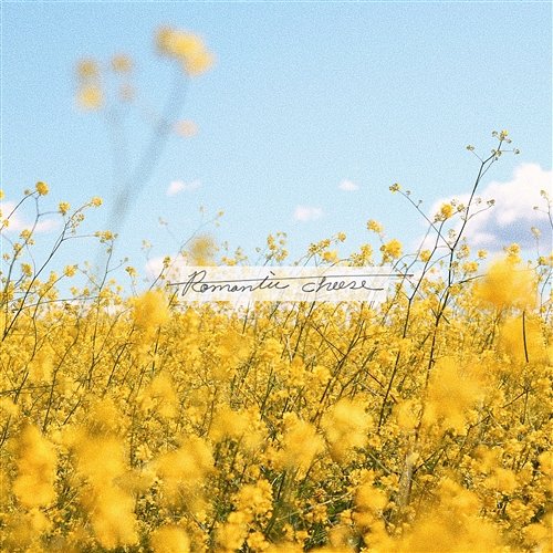 A New Spring Romantic Cheese