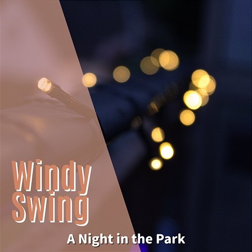 A Night in the Park Windy Swing