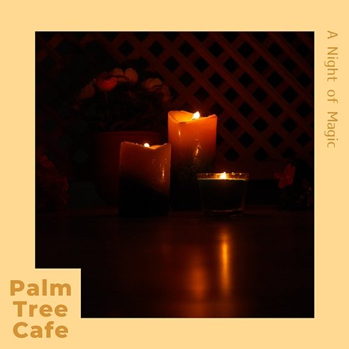 A Night of Magic Palm Tree Cafe